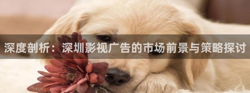 九九在线观看免费视频