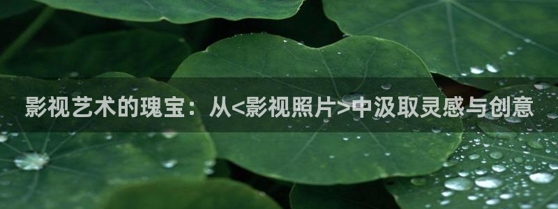 九九九久久久视频