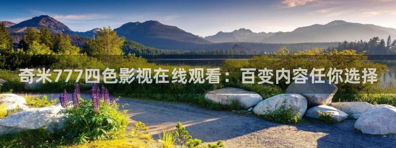 九九视频在线观看视频