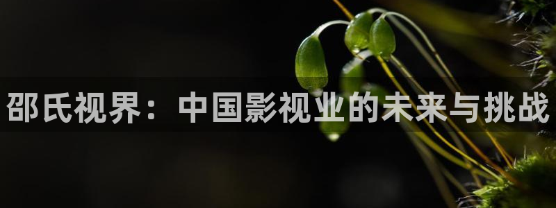 九九电影网午夜理论片