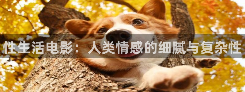 九九影院免费播放电视剧