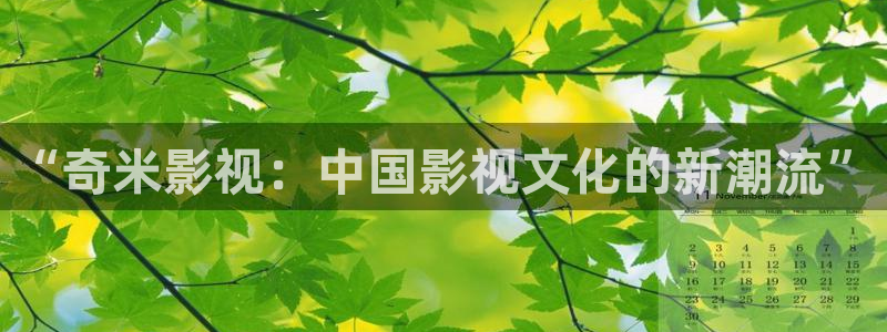 九九视频免费的